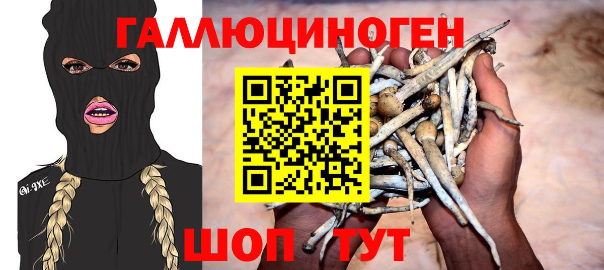 Псилоцибиновые грибы Magic Shrooms  Вход с VPN  Псилоцибиновые грибы Magic Shrooms  купить наркоту  Углич 
